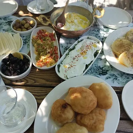 B&B Puli Stone Doğanbey