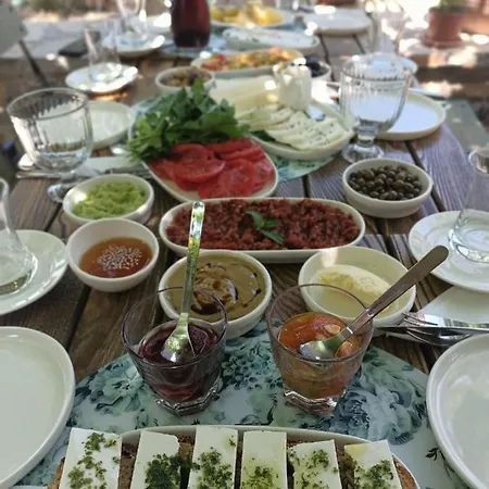 Puli Stone 4* Doğanbey